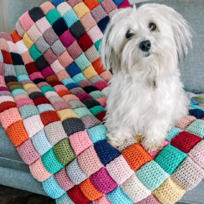 A colorful, puffy quilt is laying on a gray couch. A white, havanese dog is sitting on the quilt, facing the camera, and cocking her head just slightly.